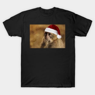 Dear Santa.... T-Shirt